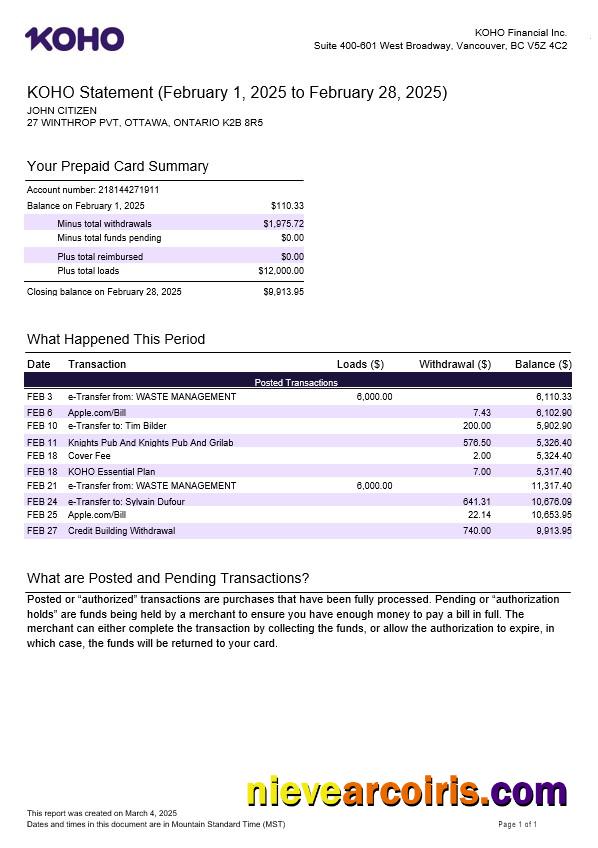 Canada KOHO Financial Incorporated statement in Word and PDF formats